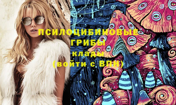 ешки Михайлов