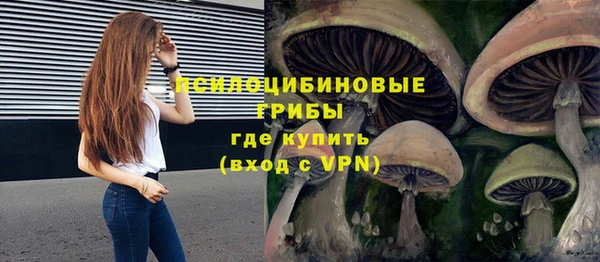 ешки Михайлов