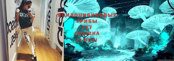 ешки Михайлов