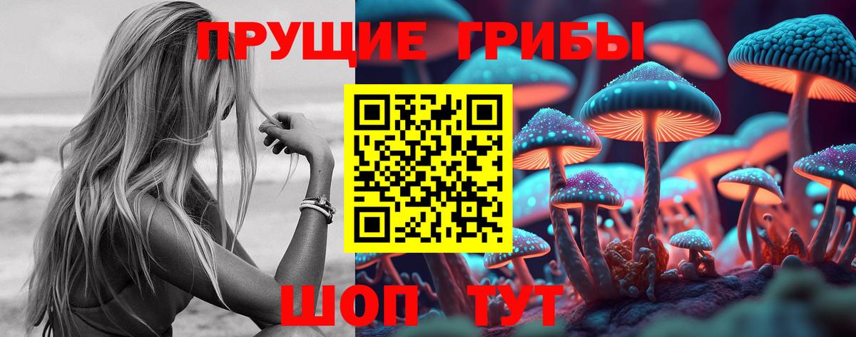 Псилоцибиновые грибы MAGIC MUSHROOMS  Псилоцибиновые грибы Magic Shrooms  где купить наркоту  Урюпинск 
