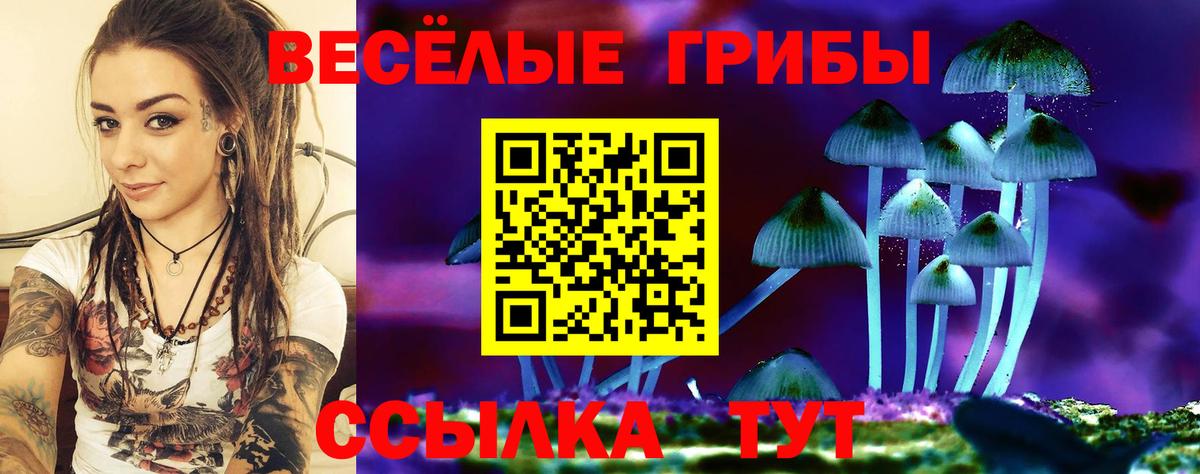 Урюпинск  Галлюциногенные грибы Cubensis  Галлюциногенные грибы Cubensis  Вход с VPN 